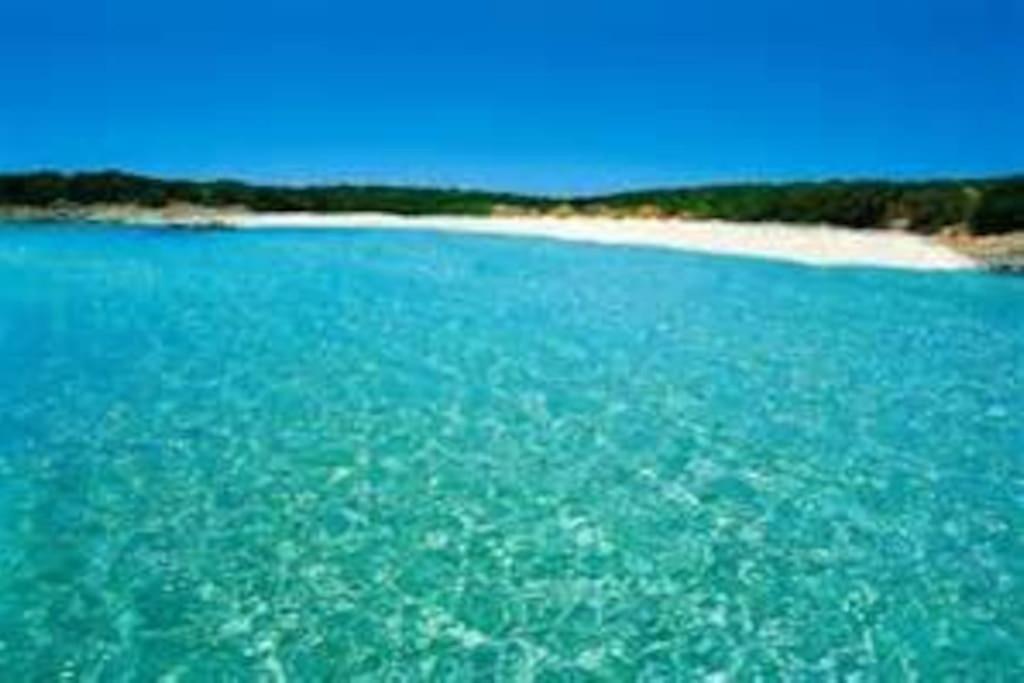 Appartamento Con Piscina E Aria Condizionata Ла-Маддалена Экстерьер фото